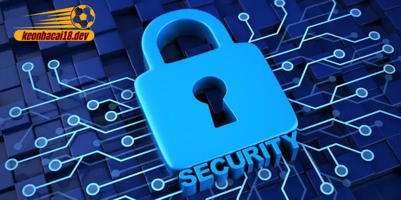 Quy định thu thập, sử dụng thông tin trong chính sách