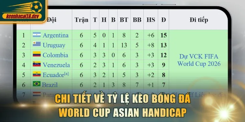 Chi tiết về tỷ lệ kèo bóng đá World Cup Asian Handicap